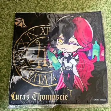 아크네코 루카스 핸드 타월