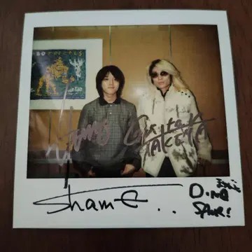 사인 포함 폴라로이드 사진 shame 셰임 3장 세트