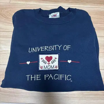 레어 USA SPORTSWEAR 맨투맨 빅 로고 자수 로고 귀여운