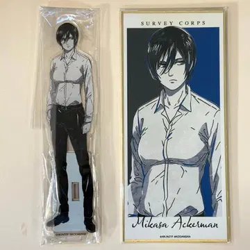 미카사 BIG 아크릴 스탠드 스탠드 포함 색지 2종 세트