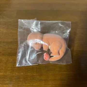 포켓몬 슬립 피규어 컬렉션 리자드