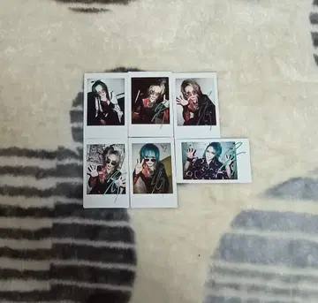 나방과 나비 히로타카 폴라로이드 사인 포함