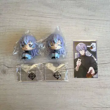 별도울 쇼 니지코토 A B 보이스 비주얼 카드 2024