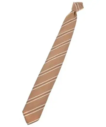 Salvatore Piccolo 넥타이 남성용