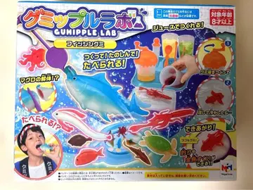 구미플라보 구미플라라보