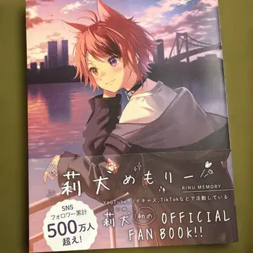 메모리 RINU MEMORY 공식 팬북