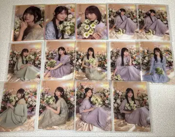 노기자카46 Blooming Fairy Town 모바카 묶음 판매