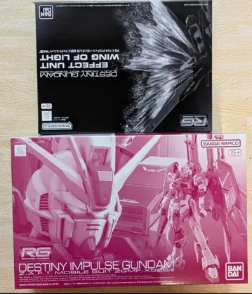 RG 데스티니 임펄스 + 빛의 날개