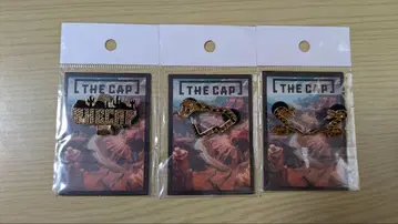 THE CAP 뉴에라 핀 배지 3개 세트