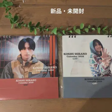히라노 코슈 씨 달력 On Off' 2026년 2권 세트