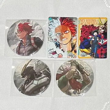 토도로키 쇼토 묶음 판매