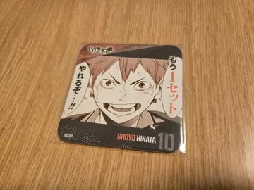 하이큐!! 청춘 격려 코스터 히나타 쇼요