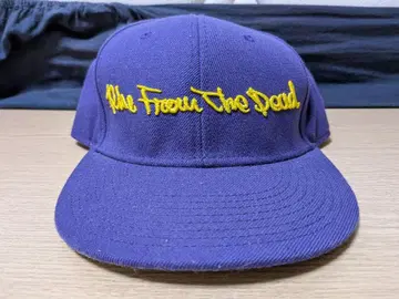 RISE FROM THE DEAD OTTO 빈티지 야구 모자