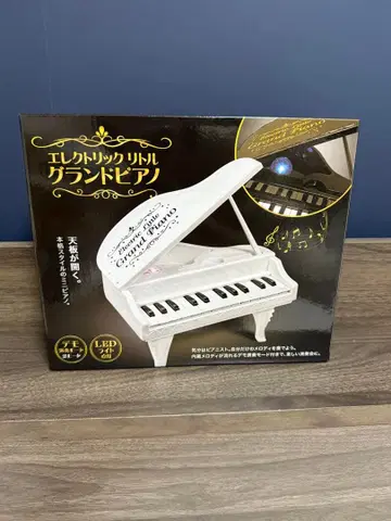 일렉트릭 리틀 그랜드 피아노 블랙