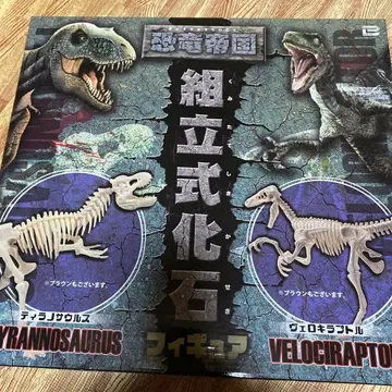 조립식 화석 티라노사우루스 벨로키랍토르