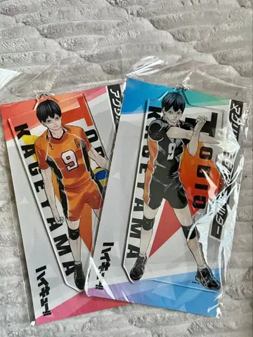 하이큐 카게야마 토비오 아크릴 MEGA 키링