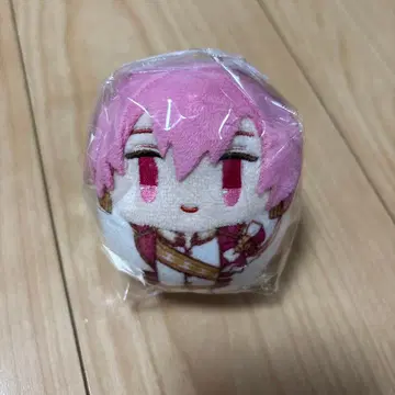 이레이스 나이코 코로콧토