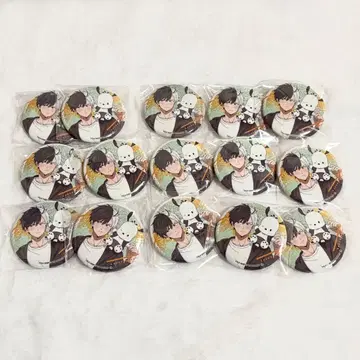 WINDBREAKER 사쿠라 하루카 캔뱃지