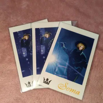 knighta 기사A 소마 폴라로이드