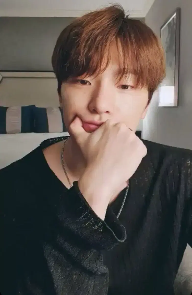 Seventeen dino photocard merchandise disposal