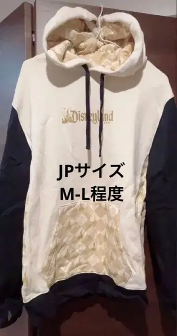 애너하임 디즈니 후드티 스피릿 저지