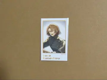 니지산지 루카 카네시로 SitR 상하이 폴라로이드