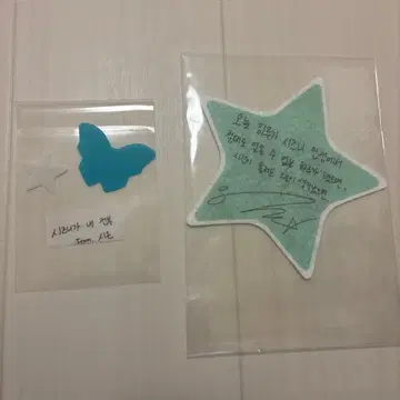 NCTWISH OUR WISH 콘서트 종이꽃 시온