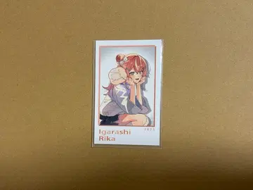 니지산지 이가라시 리카 SitR 상하이 폴라로이드