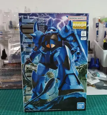 MG 1/100 MS-07B 구프 Ver.2.0