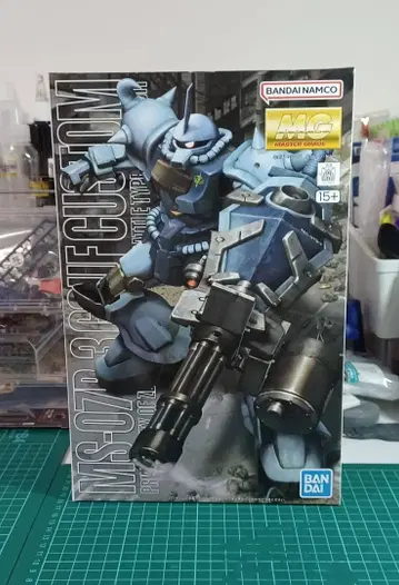 MG 1/100 MS-07B-3 구프 커스텀