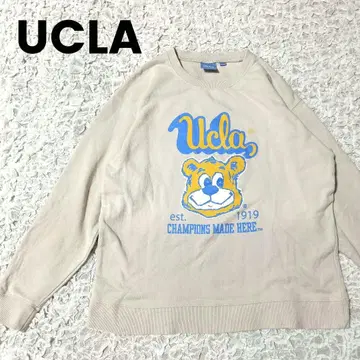 UCLA 베이지 곰 곰 곰 맨투맨 M 면 100%