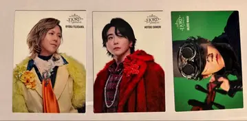 미세스 FJORD 포토 카드 3매