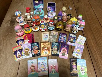 PUCKY 푸키 일괄 25점