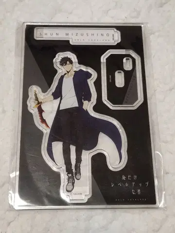 [ 나 혼자만 레벨업 ] 아크릴 스탠드 성진우