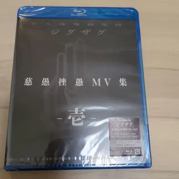 [ 미개봉 새상품 ] 진천지개벽집단 지그재그 MV 집 --