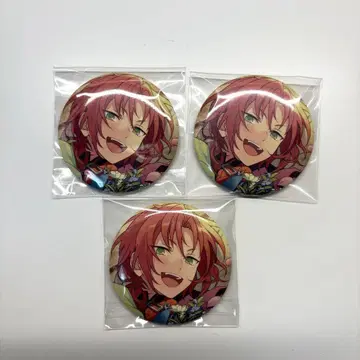 앙스타 츠키나가 레오 피처 2