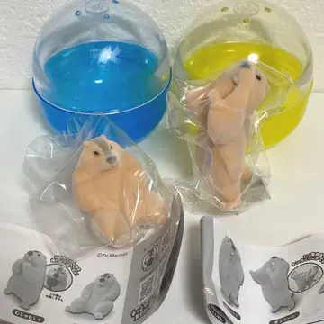 히말라야 마모트의 마모치 플로키 피규어 구이잉 네오치 순전