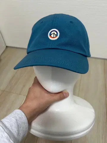 파타고니아 캡 피츠로이 단종