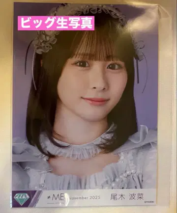 오기 나나 빅 브로마이드