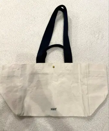 HAY 위켄드 토트백 small