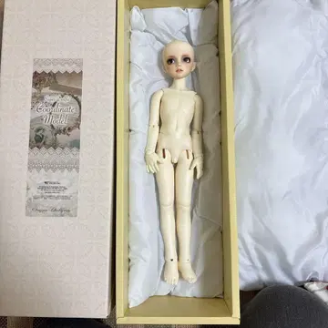 보크스 SDM 코디네이트 모델 61번 남아 화이트 본체