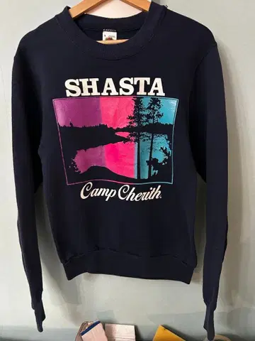 빈티지 90s 프룻 오브 더 룸 프린트 맨투맨