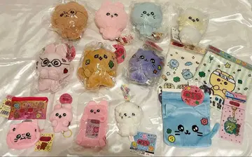 체고심 묶음 판매