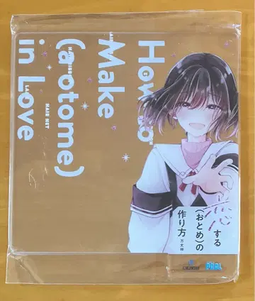 사랑하는 (소녀)의 만드는 법 아크릴 선반 걸이 플레이트