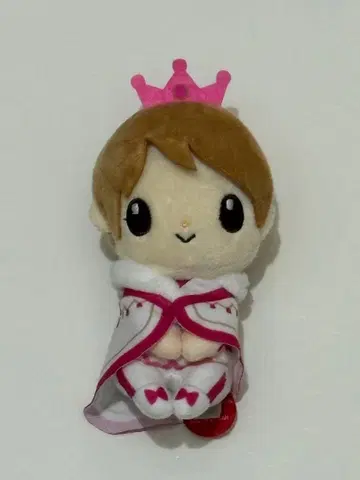 이와하시 겐키 춋코리상