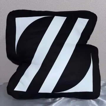 ZETA DIVISION 쿠션