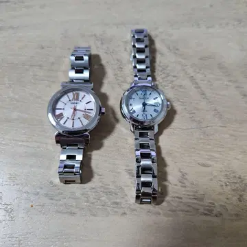 SEIKO 루키아 카시오 SHEEN 2종 세트