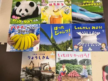 선차일드 빅사이언스 2025년 4월~11월