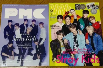 Stray Kids 특집 PMK & ViVi 2권 세트 스키즈