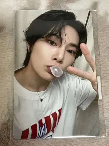 Stray Kids KARMA FANS 영통 혜택 트레이딩 카드 아이엔